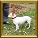 Photo of Alice