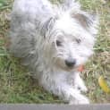 Photo of Jake