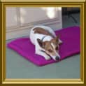 Photo of Ralph