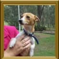 Photo of Bree