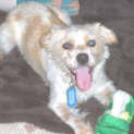 Photo of Otto