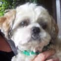 Photo of Lochie