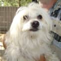 Photo of Snowy