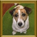 Photo of Tess