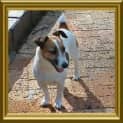 Photo of Tess