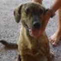 Photo of Macie