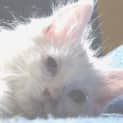 Photo of Jack