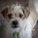 Photo of Leila