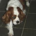 Photo of Rupert