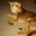 Photo of Lucy