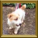 Photo of Oscar