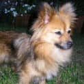 Photo of Precious