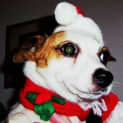 Photo of Jackie