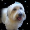 Photo of Rusty
