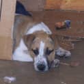 Photo of Marnie On Hold