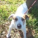 Photo of Maggie
