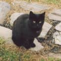 Photo of Sooty