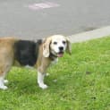 Photo of Jess (On Trial)