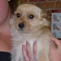 Photo of Jasmine