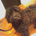 Photo of Jabba