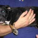 Photo of Wanda