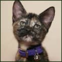 Photo of Polly