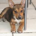 Photo of Sati
