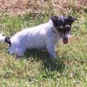 Photo of Xena
