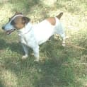 Photo of Paco