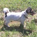 Photo of Xena