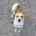 Photo of Ted