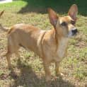 Photo of Humphrey Is Trying A New Home!!