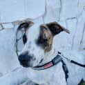 Photo of Elwood
