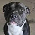 Photo of Blue
