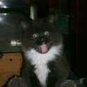Photo of Jasper