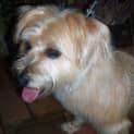 Photo of Billy