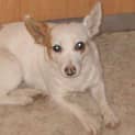 Photo of Shirley