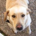 Photo of Sandy