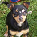 Photo of Baggins Aka Sprite!! Adopted