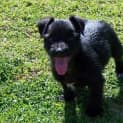 Photo of Alex Adopted