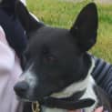 Photo of Spike