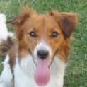 Photo of Egon (Maxie)