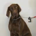 Photo of Jazz