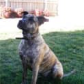 Photo of Axah