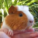 Photo of Sophie