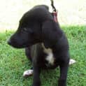Photo of Abbie