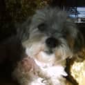 Photo of Ragsy