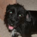 Photo of Missy