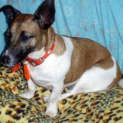 Photo of Jedda