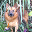 Photo of Willie